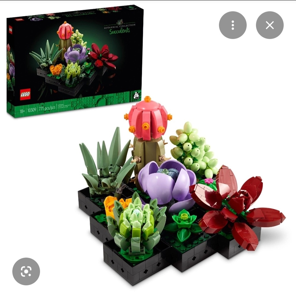 LEGO Botanical Collection Colorful Succulents Set